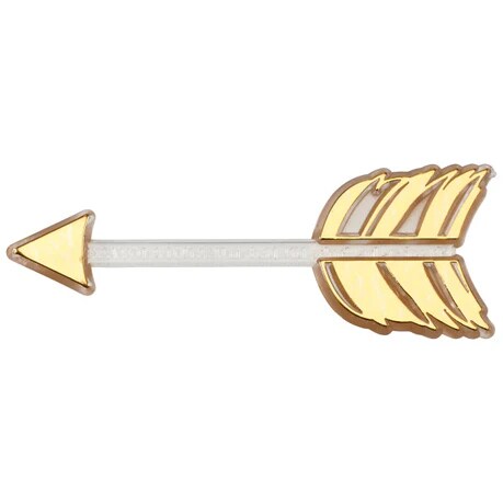 Gold Arrow Cupcake Cake Decorating plastic Layons 12 set