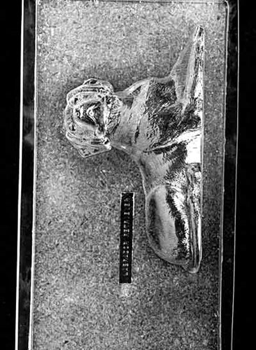 3D Labrador Retriever Chocolate Mold - Front