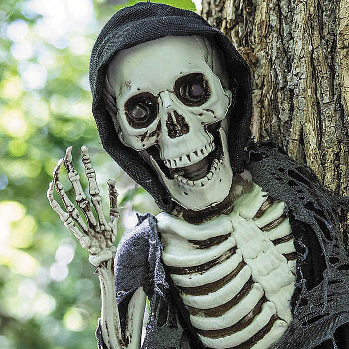 15 3/4" Hanging Waving Skeleton Reaper Creeper Halloween Decoration