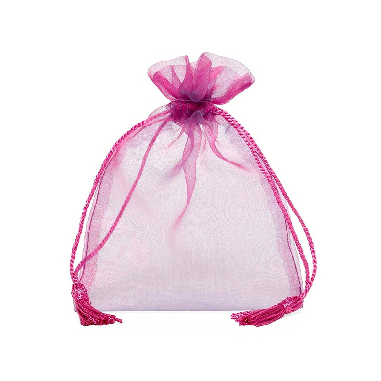 Jewel Tone Iridescent Sheer Tasseled Bags 5'' x 6 1/2'' for Gifts