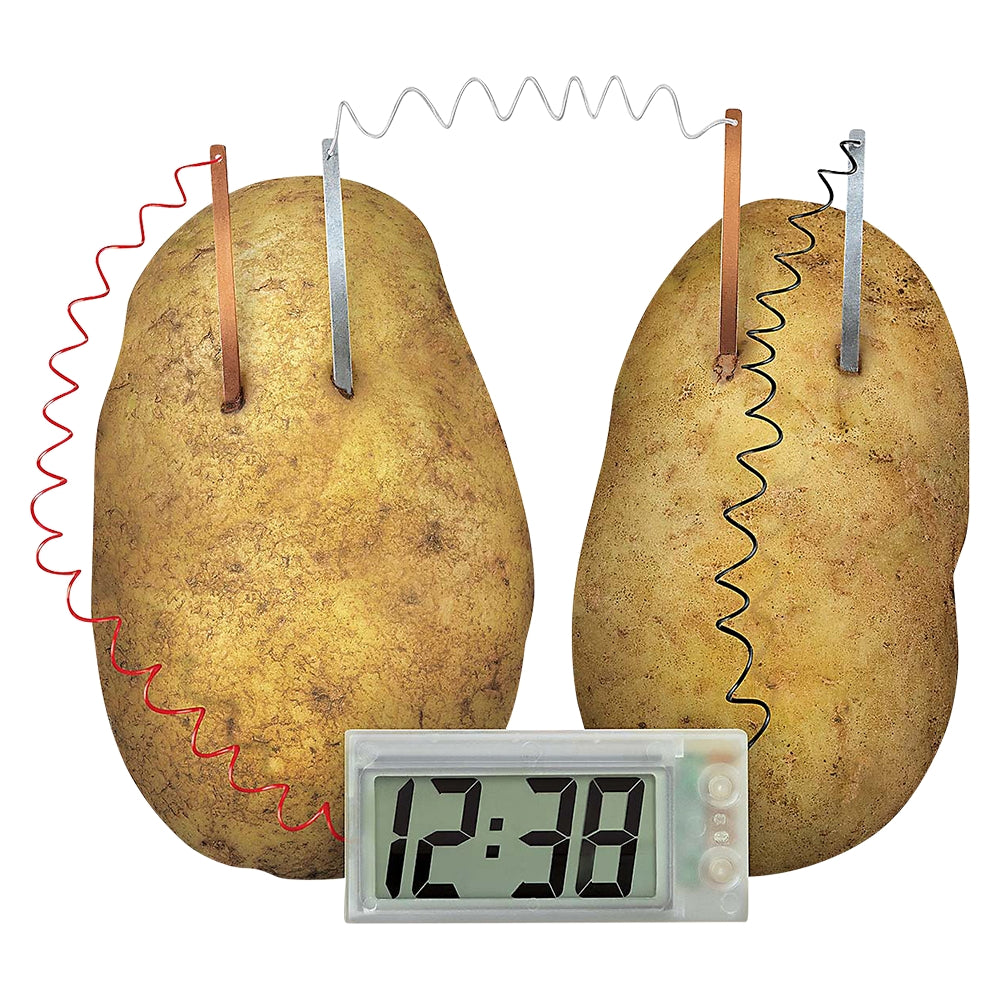 Potato Clock Science Kit