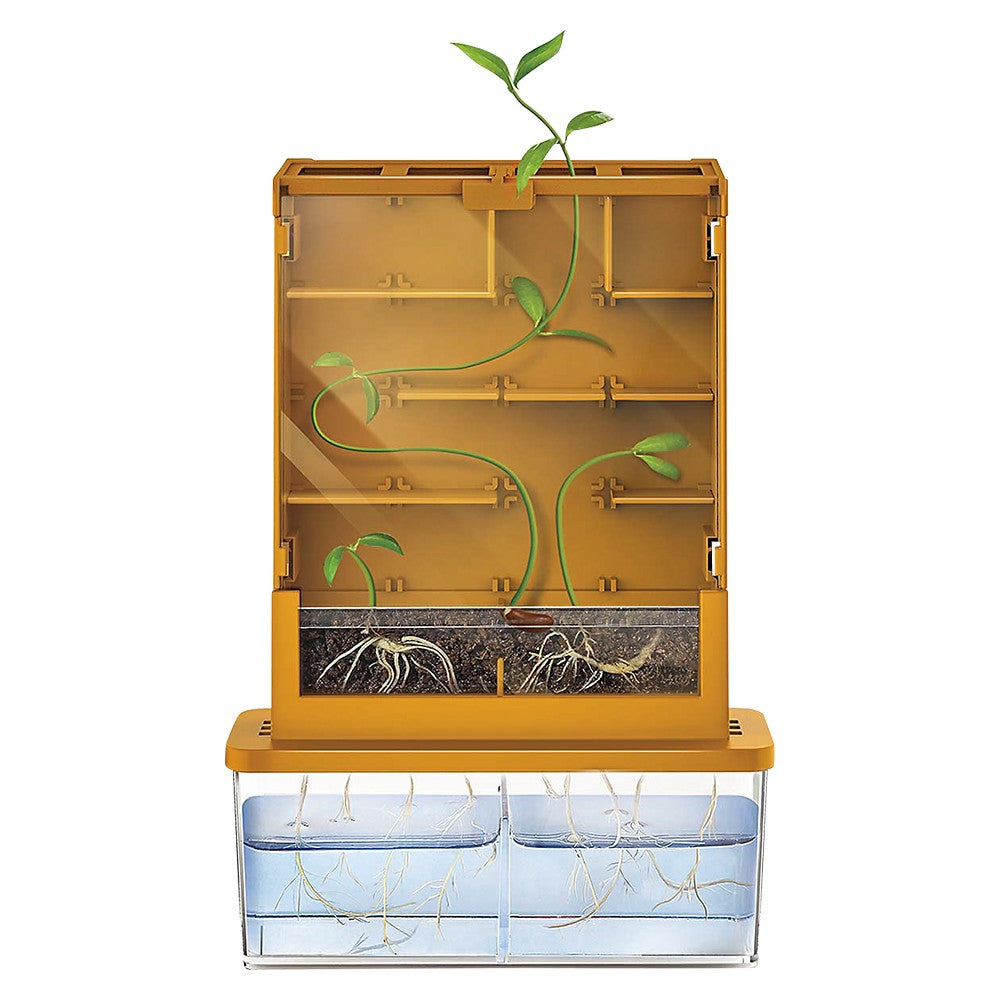 Grow-A-Maze Science Kit (1 EA)