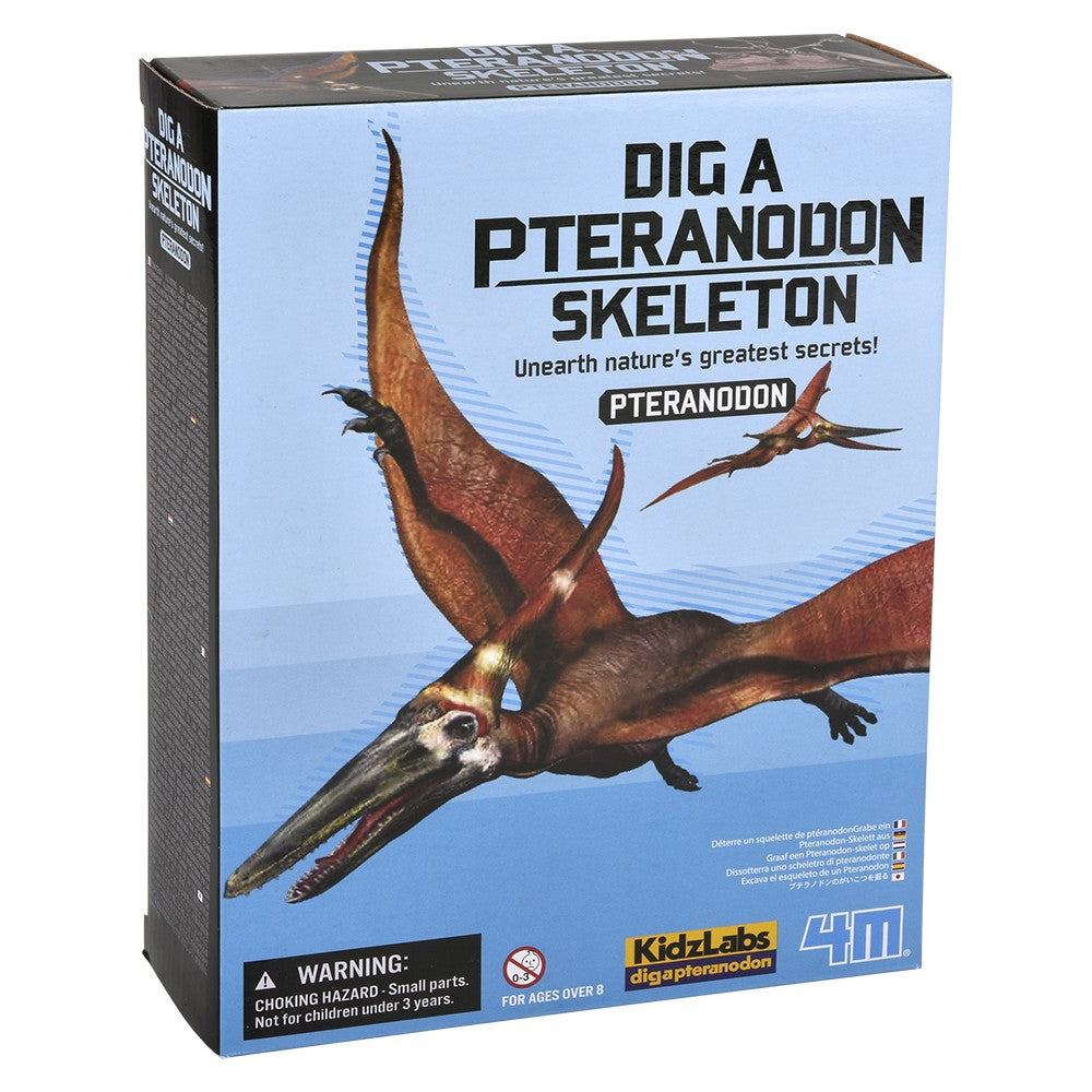 Pteranodon Skeleton Dig Kit