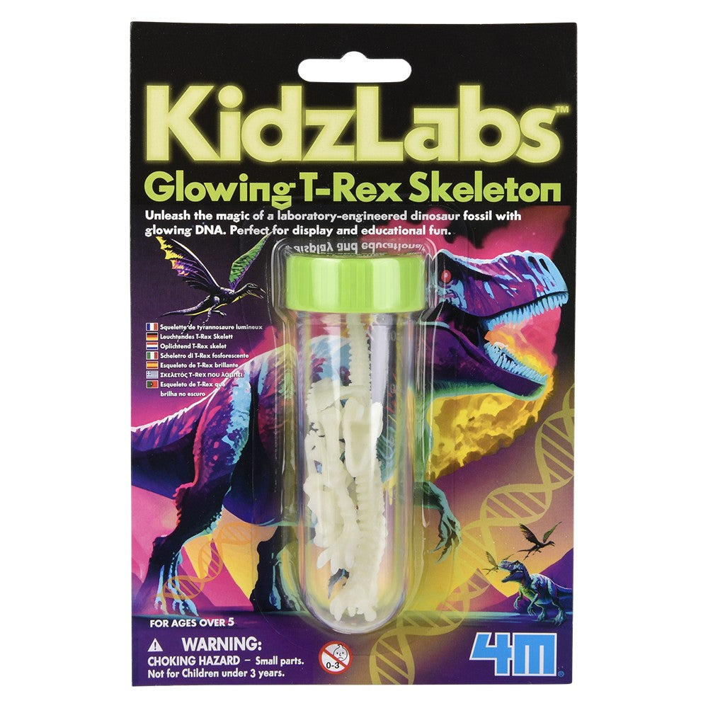 Glow-in-the-Dark T-Rex Skeleton