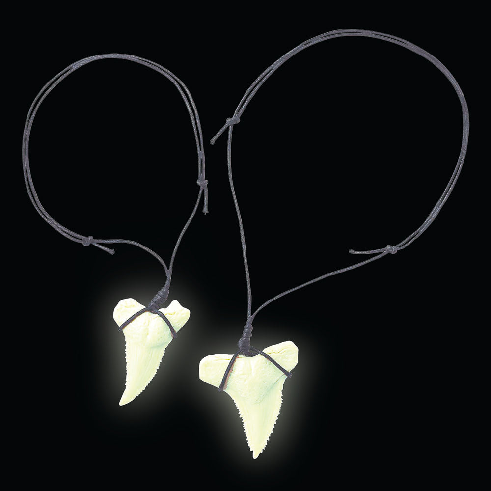 Glow Shark Tooth Fossils Dig Kit