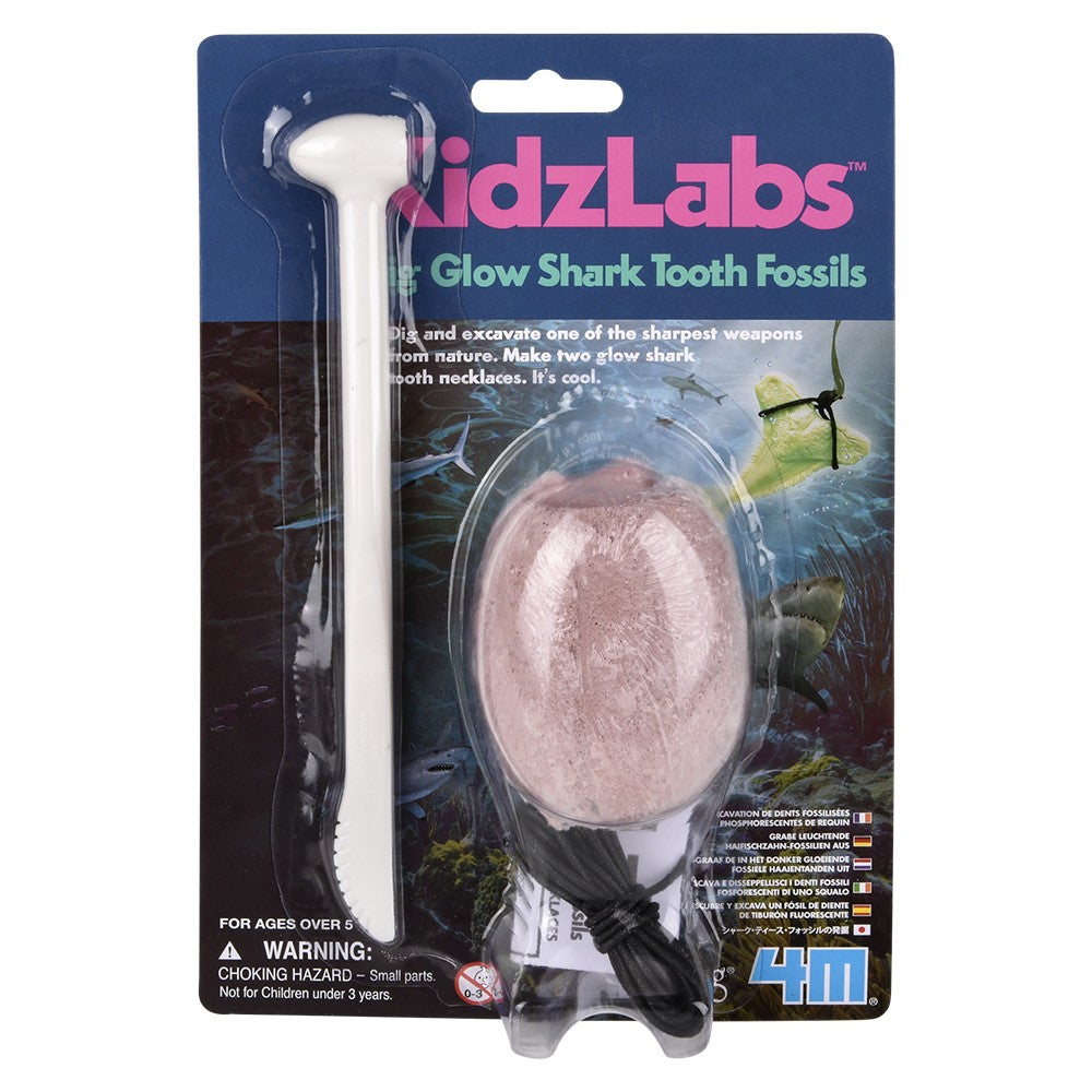 Glow Shark Tooth Fossils Dig Kit