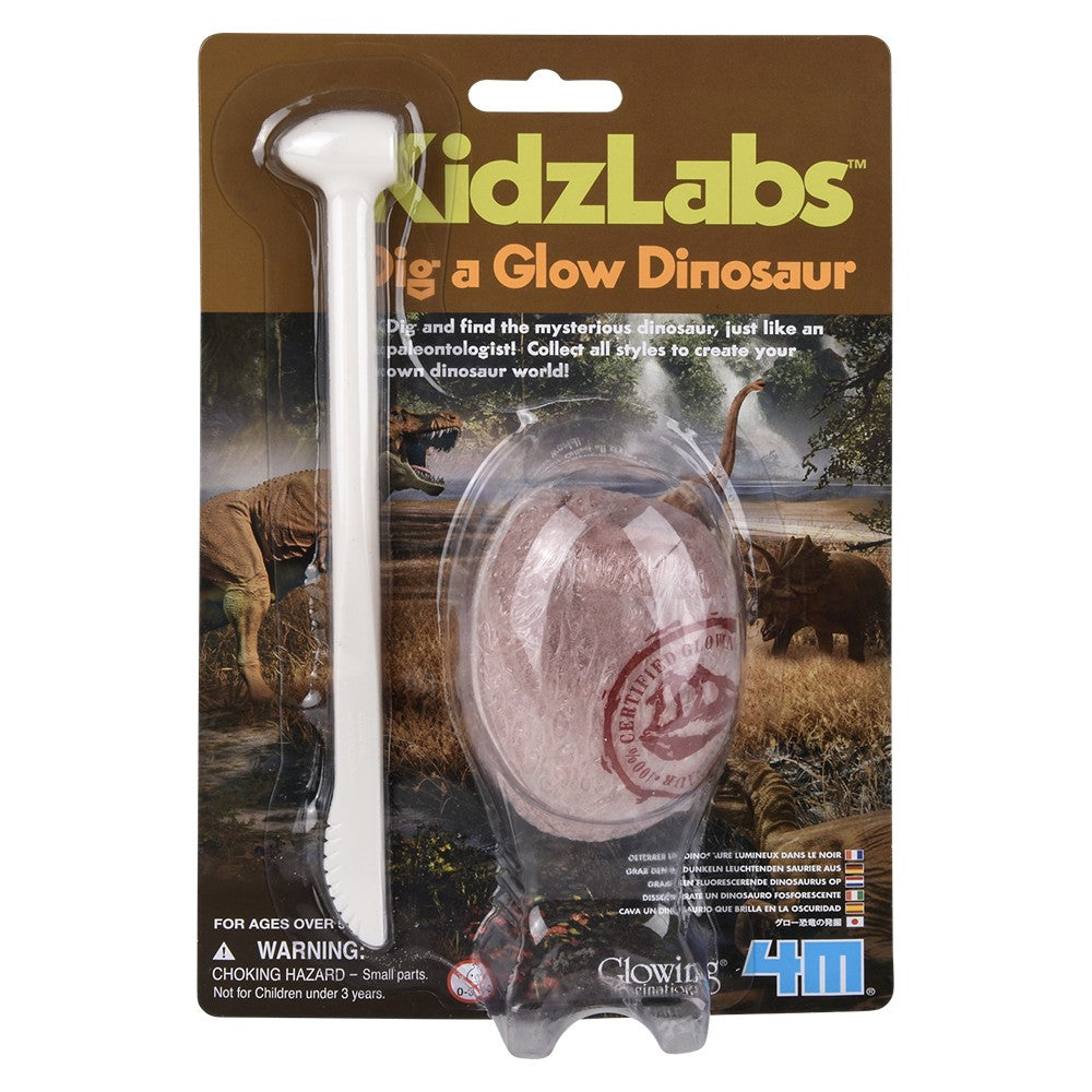Glow Dinosaur Dig Kit