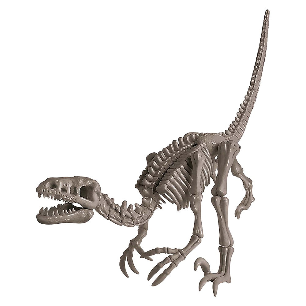 Dinosaur Skeleton Dig Kit Velociraptor