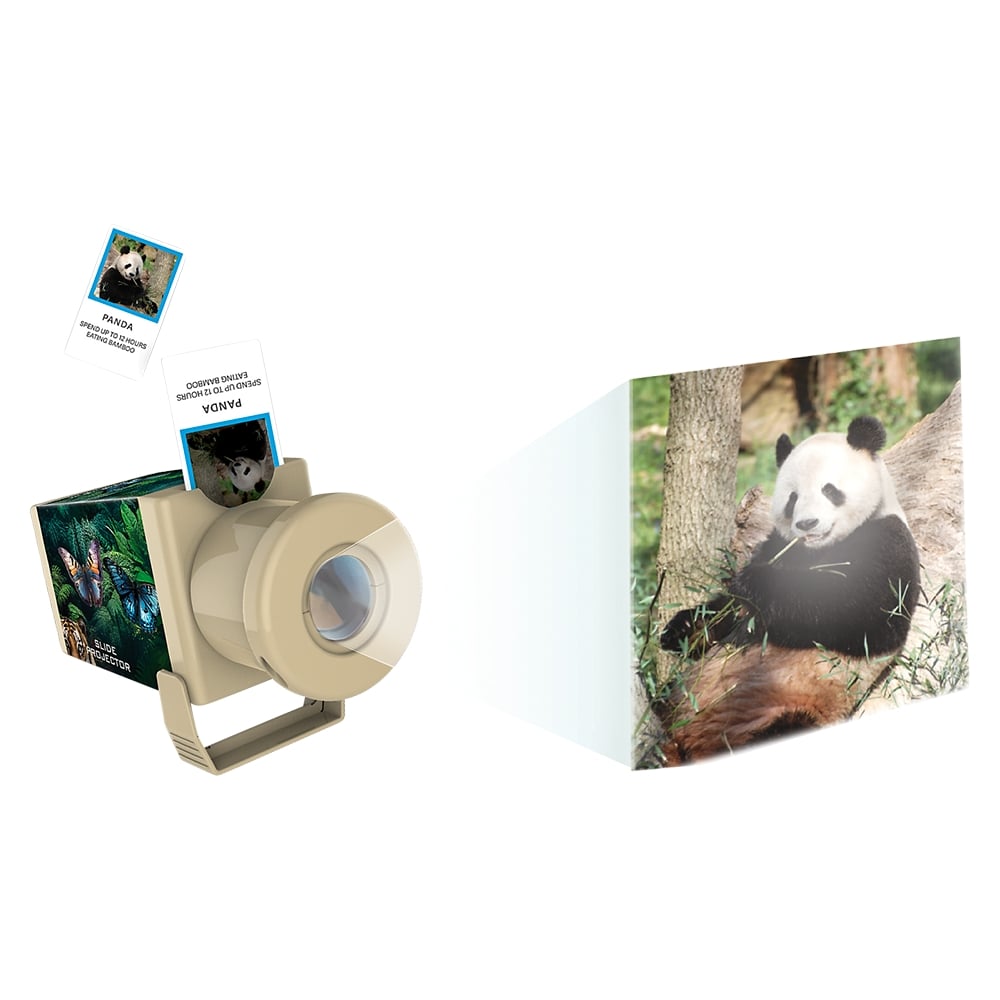 Zoo Slide Projector
