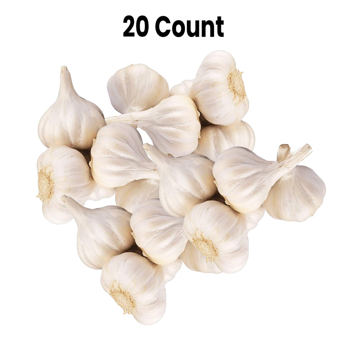 Radyan Fresh Organic Garlic, Sold by the Pound