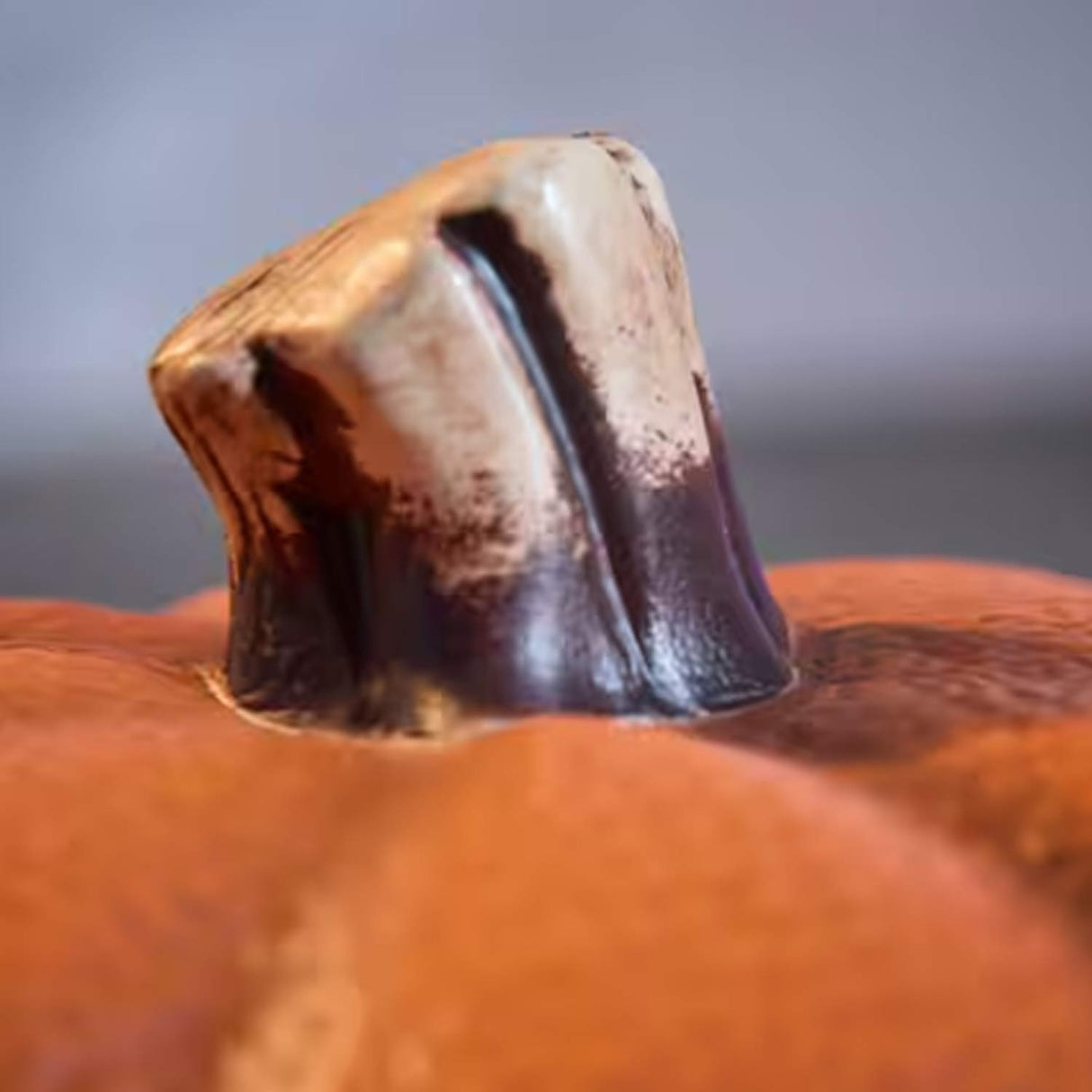 10 in Halloween Classics Plug-in LED Spooky Jack-O-Lantern The Home Accents Holiday