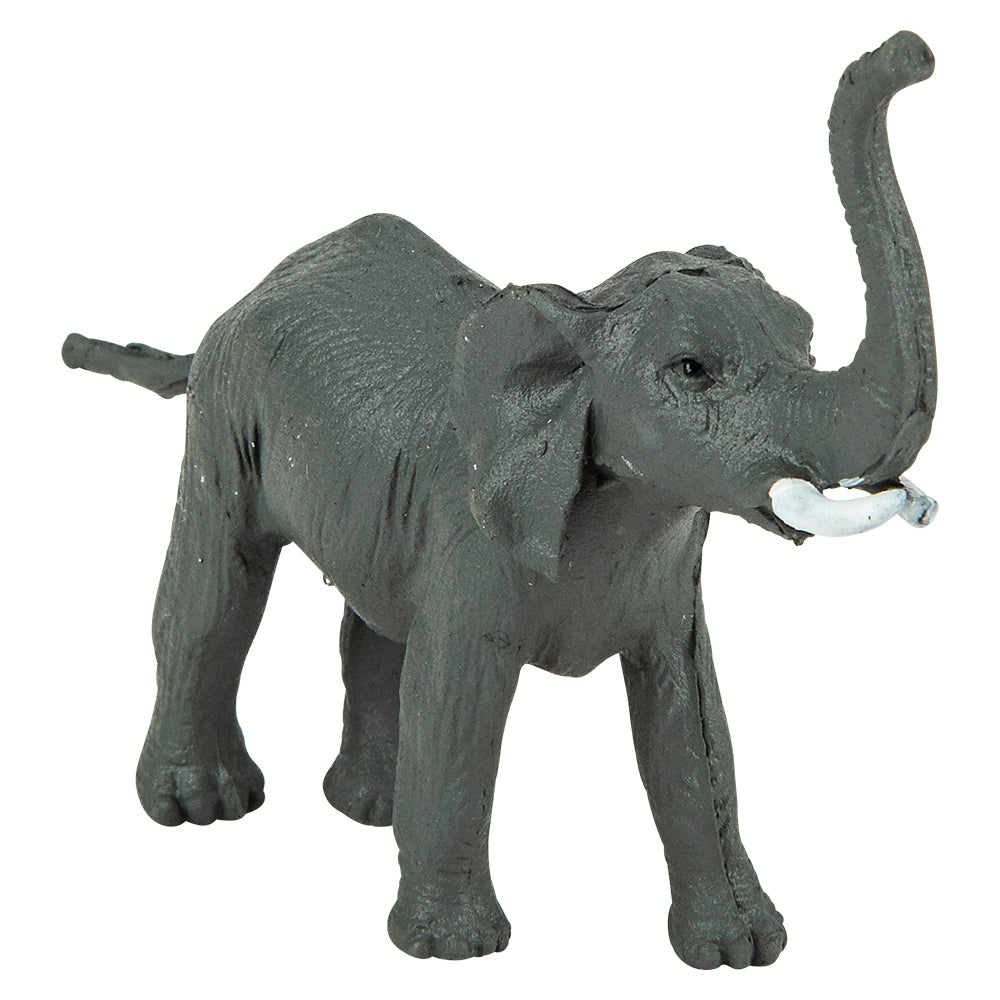 Animal Set 6 PC (1 PC)
