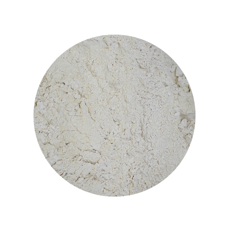 Vital Wheat Gluten 1 Pound