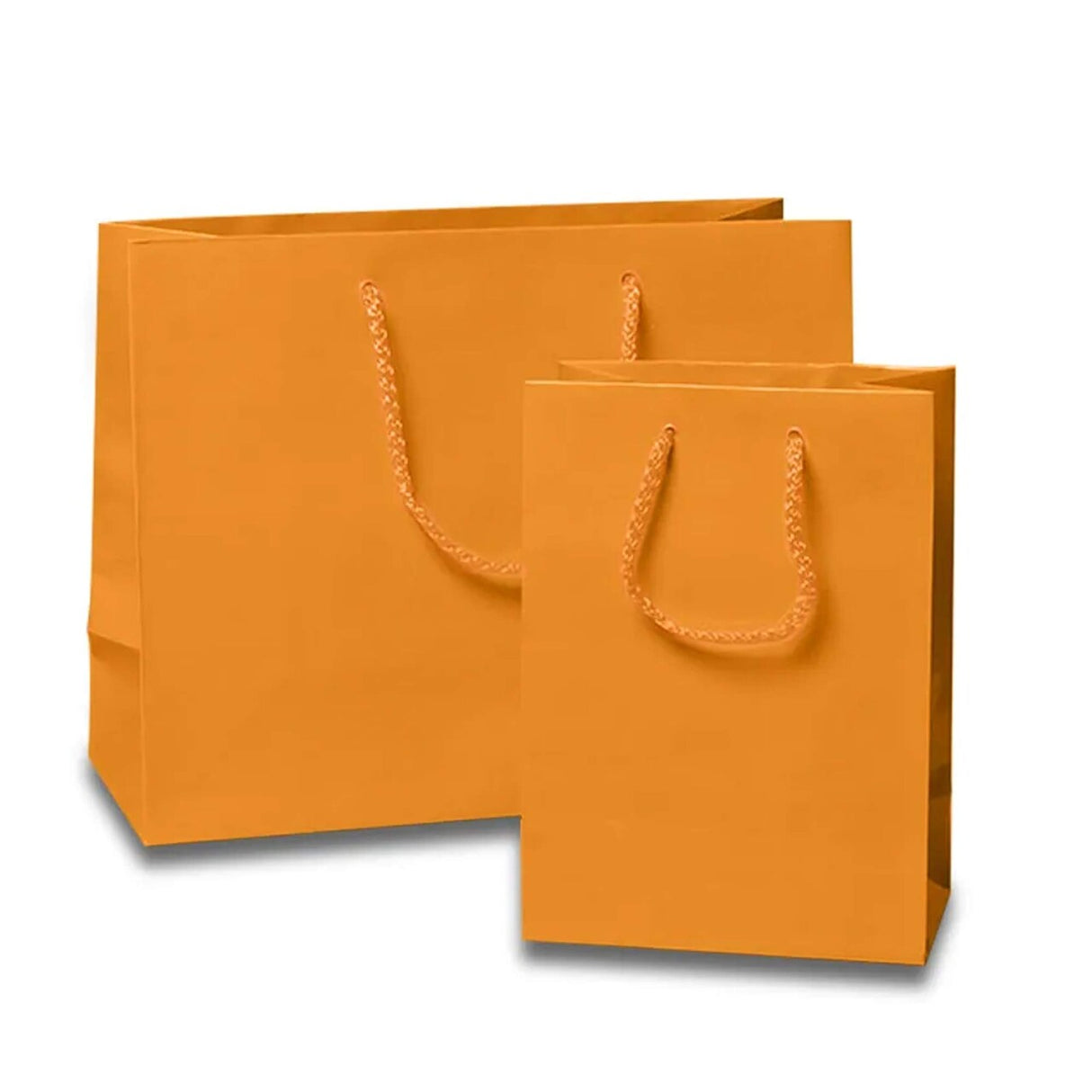Compact Gift Packaging with Glossy Euro Totes 6 1/4'' x 3 1/2'' x 8 1/2''
