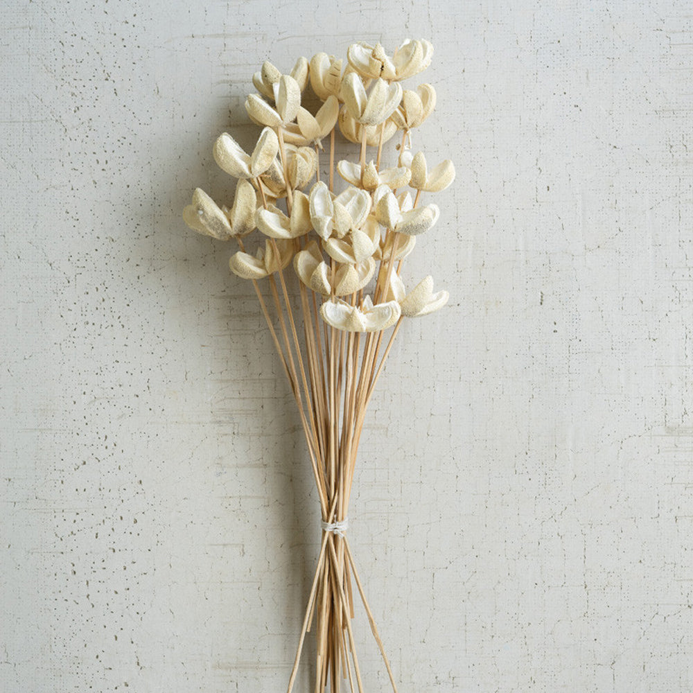 Kalalou Bleached Bullet Flowers on Stems, Bundle of 24