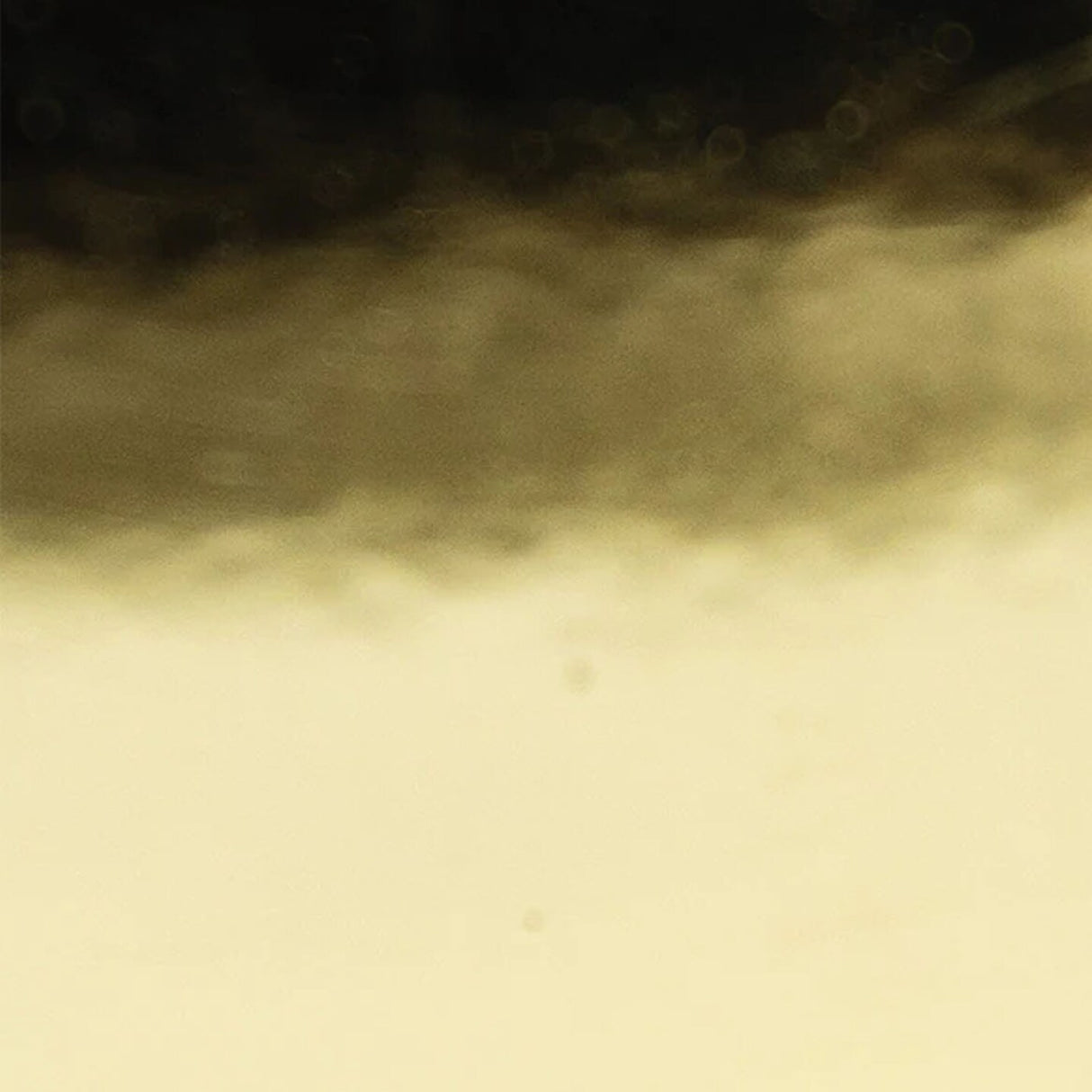 Creative Vinyl Polychrome Polish Film 24"