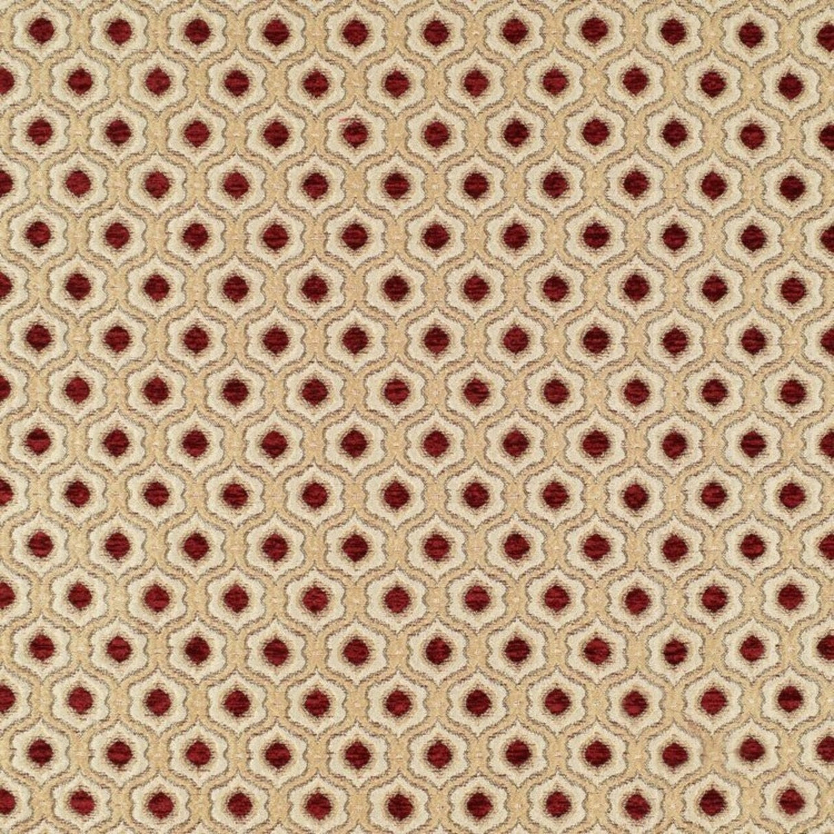 Saxon Fabric Elegant & Versatile