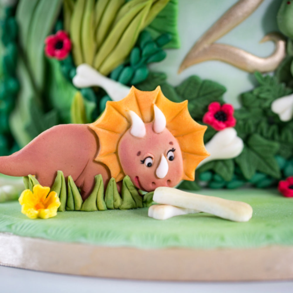 Karen Davies Sugarcraft Dinosaur Silicone Mold