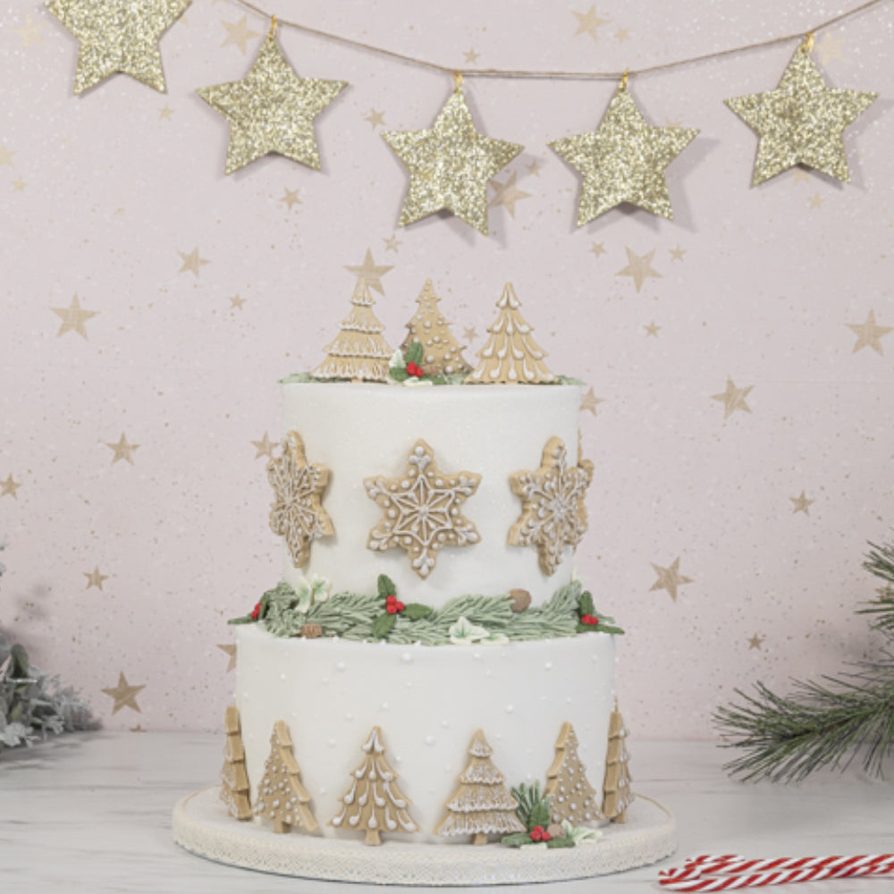 Karen Davies Sugarcraft Snowflakes & Christmas Trees Silicone Mold