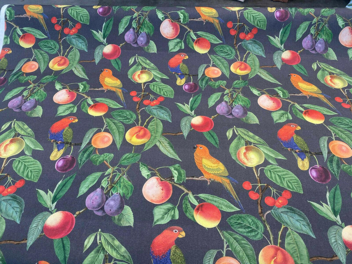 Parrots Macaw Bird Fruits Noir Cotton Fabric - Green Leaves, Blue Red And Orange Birds, 54" Width, 25" Horizontal Repeat, 24" Vertical Repeat (1 Yard)