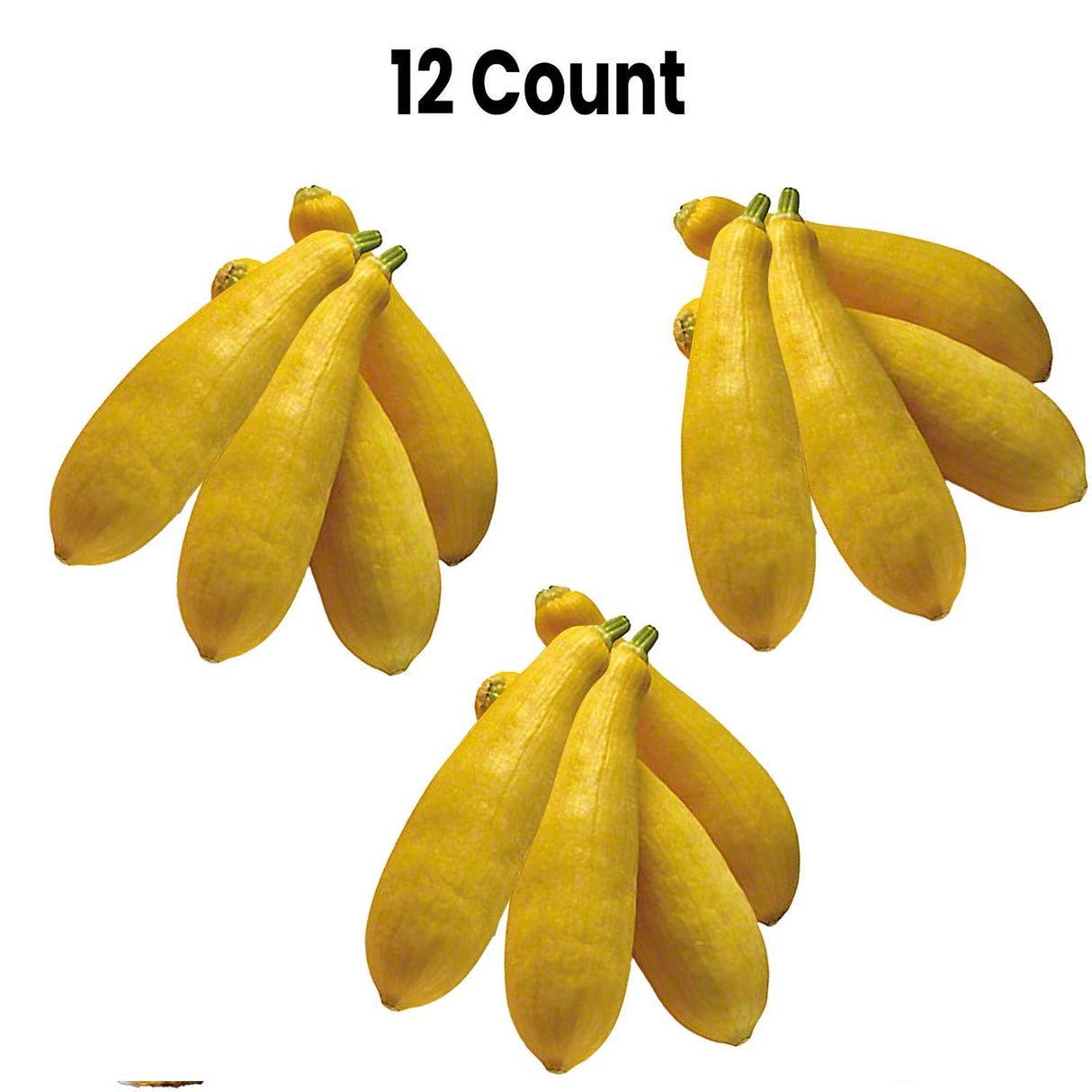 Radyan Fresh Yellow Squash