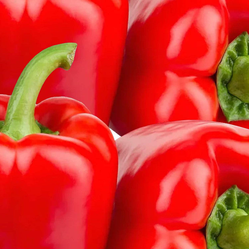 Trader Joe’s Organic Red Bell Peppers 12 Oz