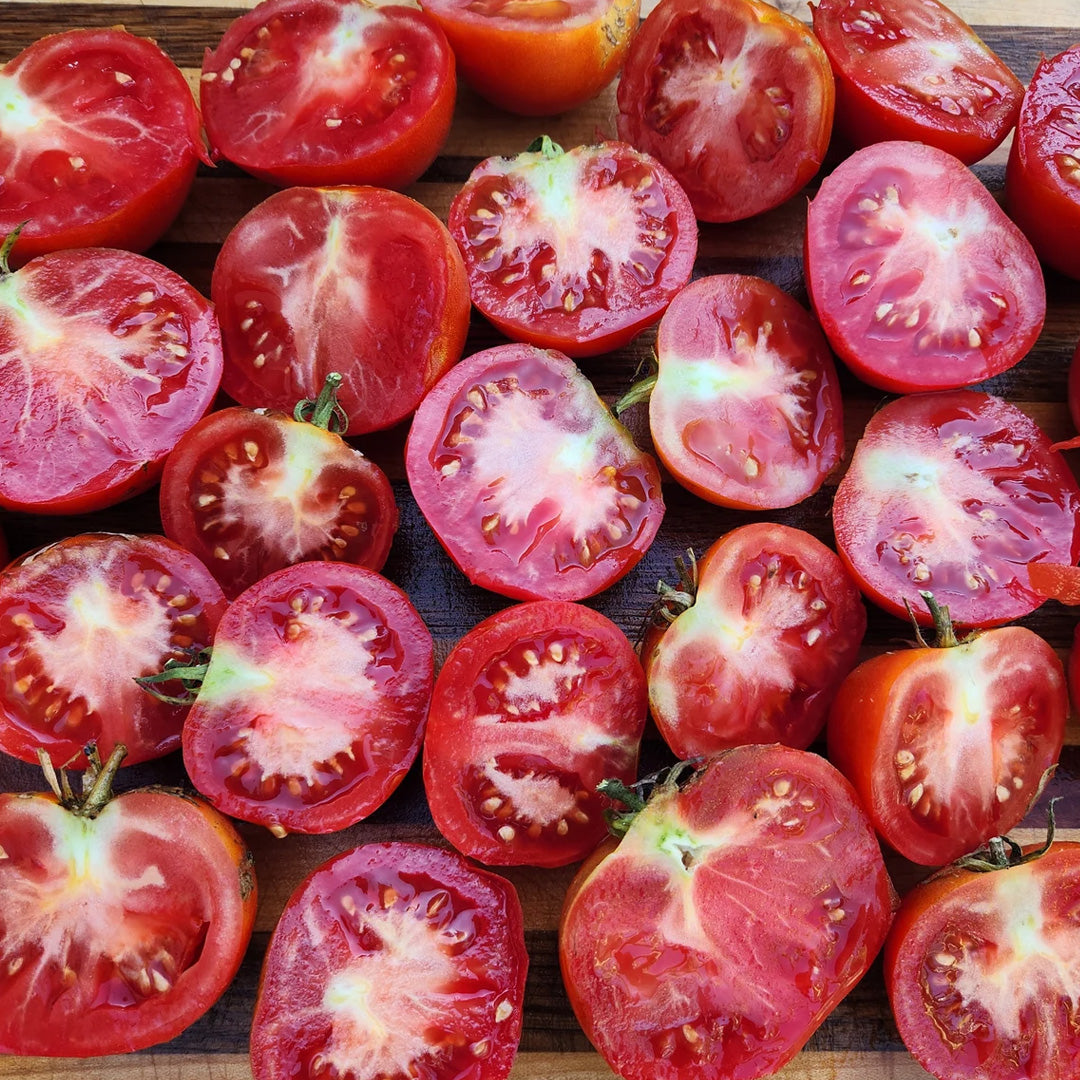 Hawaiian Kewalo Tomato Seeds 20 Count Root Knot Nematode Resistant Heat Tolerant