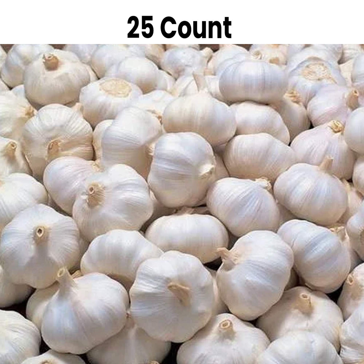 Radyan Fresh Organic Garlic, Sold by the Pound