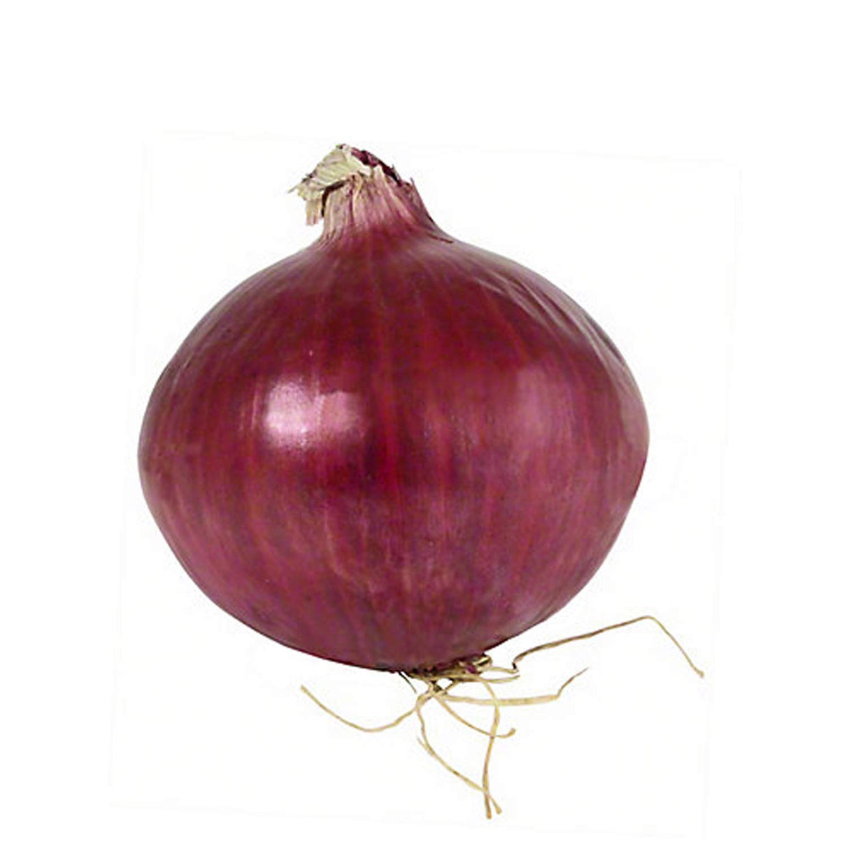 Radyan Organic Red Onion