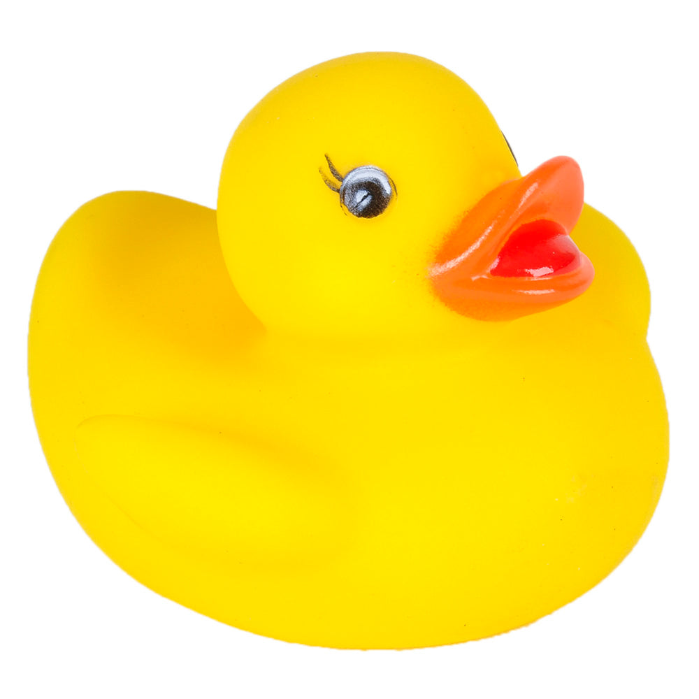 Baby Rubber Duckies (1 DZ)