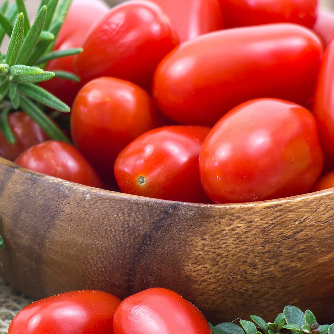 Roma Tomato Heirloom Seeds Paste Tomato Non GMO Open Pollinated Seed Packet