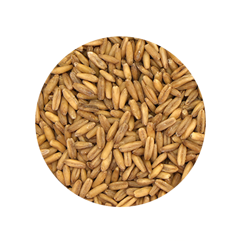 Whole Oat Groats 1 Pound