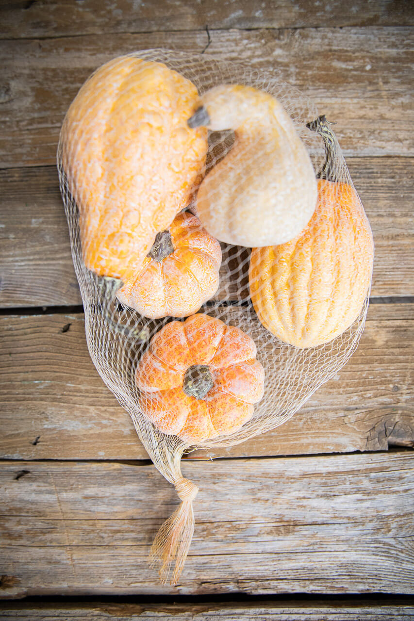 6 Piece Pumpkins & Gourds with Mesh Bag
