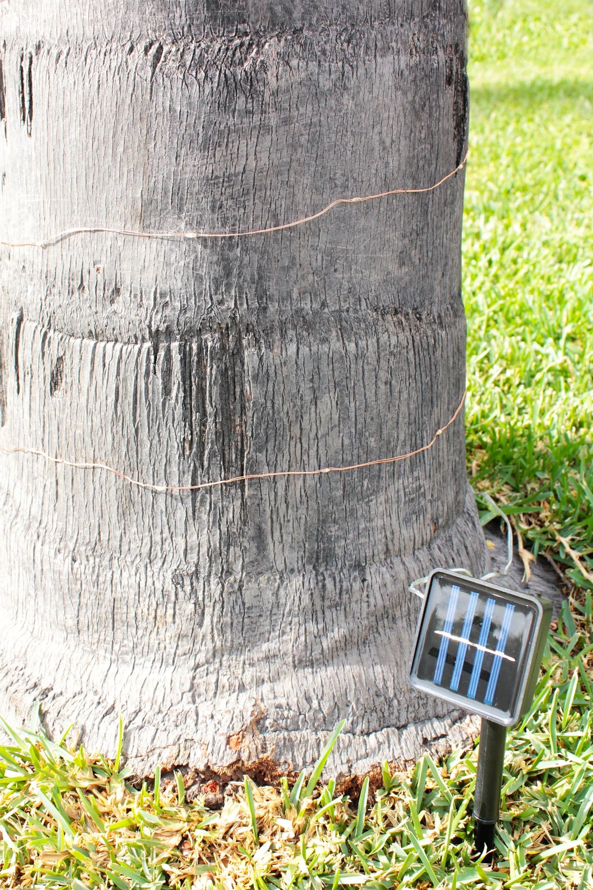 Solar Powered 100 LED Copper Wire Fairy Light – 32 ft