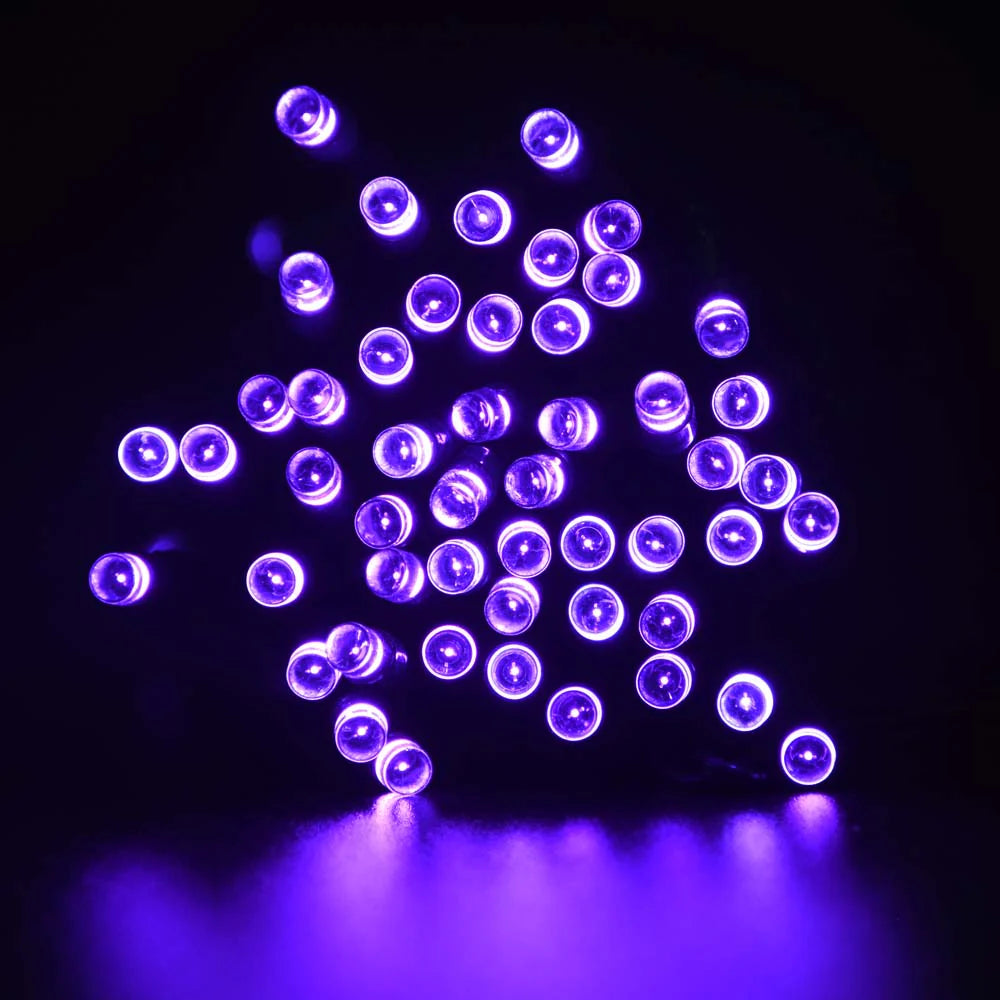 30 LED String Light – Battery Operated, Black Wire, Purple