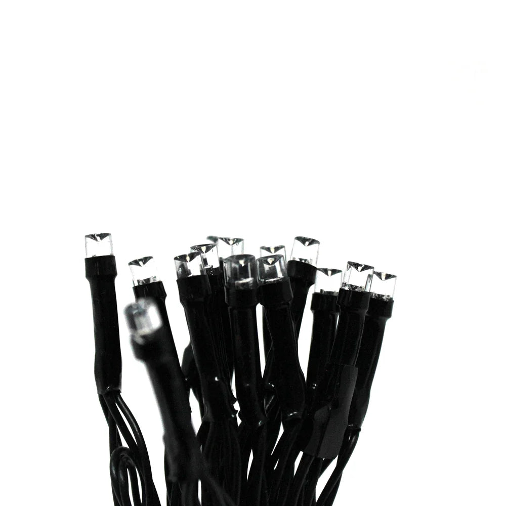 30 LED String Light – Battery Operated, Black Wire, Purple