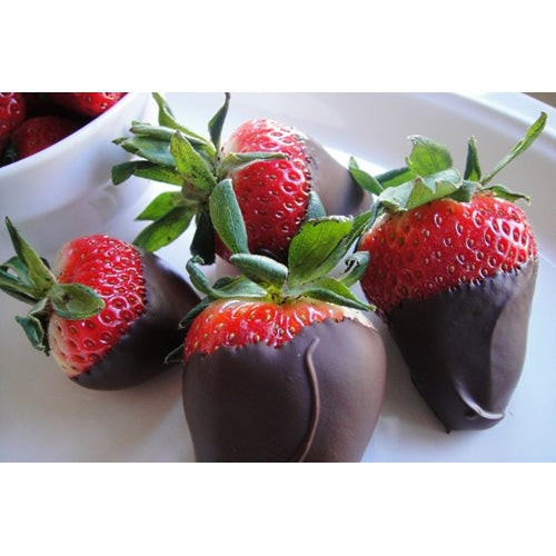 50-Hole Bonbon Dipping Stand with Mat & Dipping Sticks