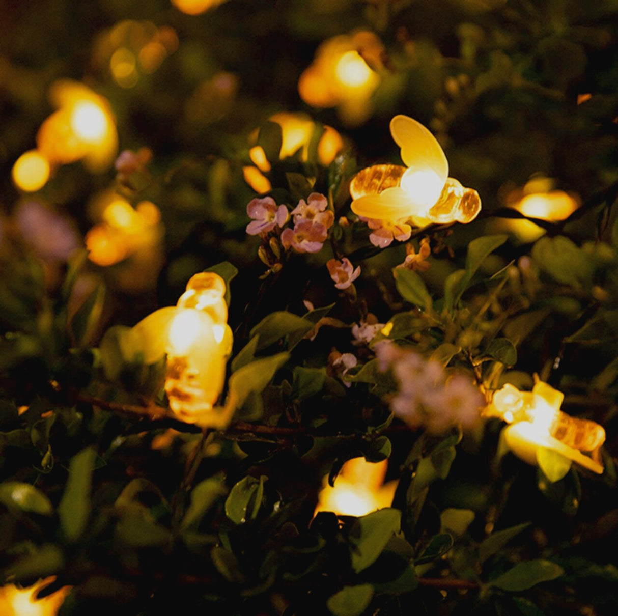 Bee Solar String Lights – 8 Modes