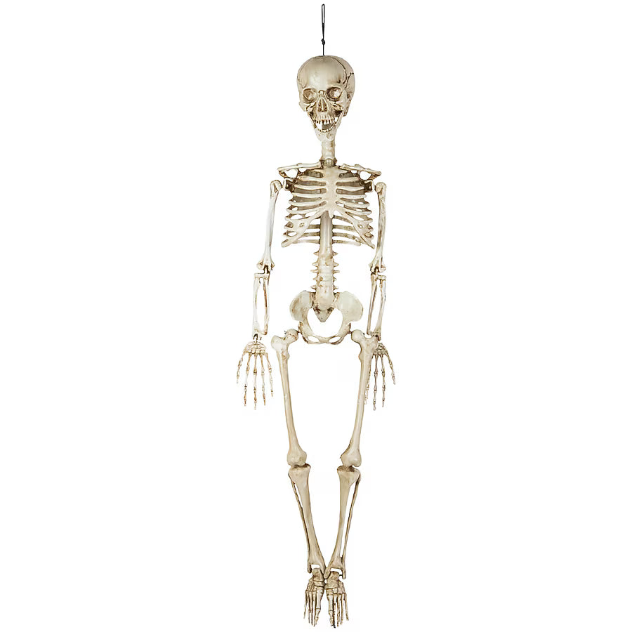 Haunted Living 3-ft Hanging Skeleton Halloween Decoration Spooky Prop