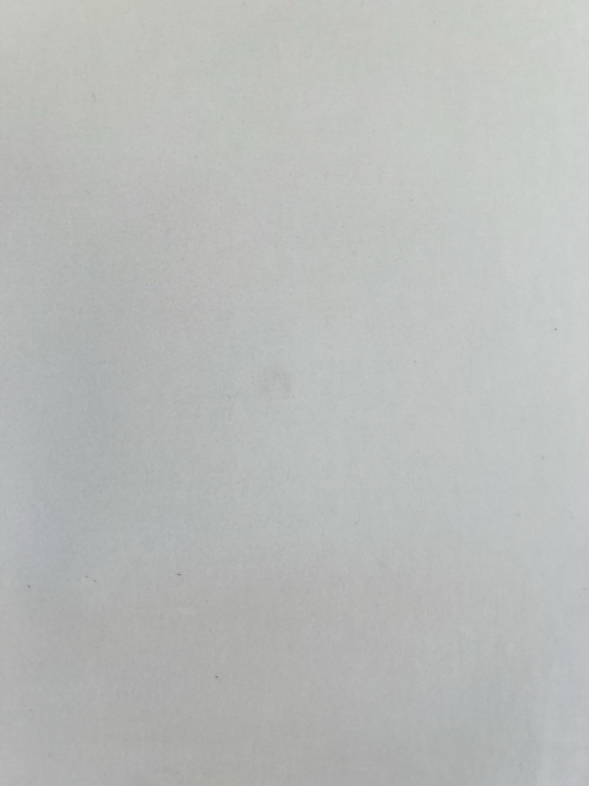 Viscose Cotton Pile Fabric White