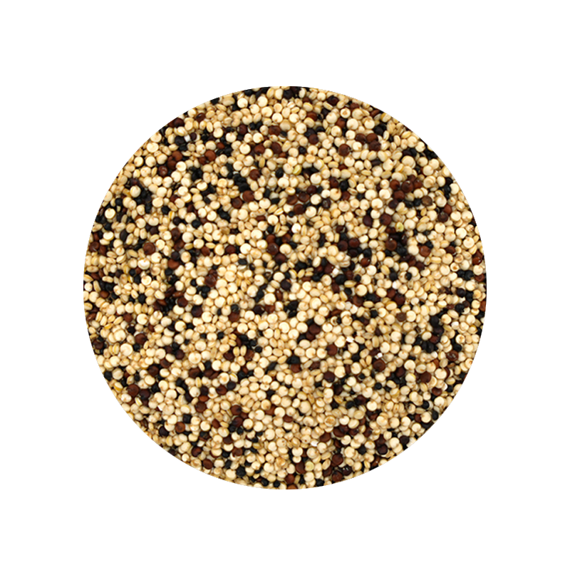 Organic Tri Color Quinoa 1 Pound