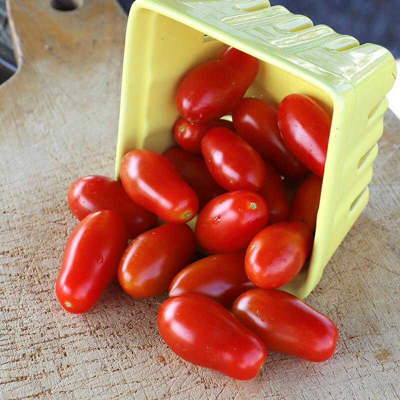 Tomato Marzito F1 Seed