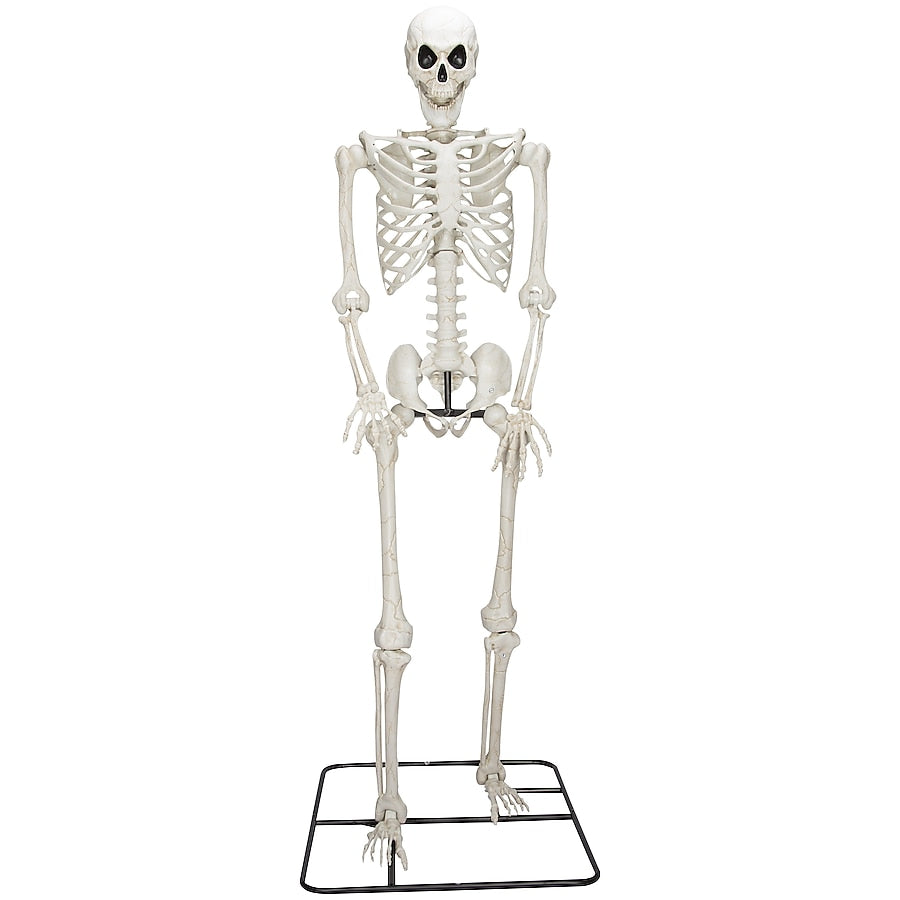 Haunted Living 10ft Poseable Skeleton Decoration Best For Halloween Decoration
