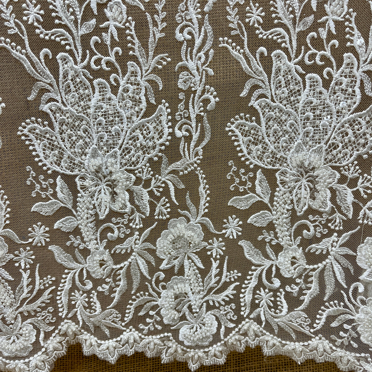 Beaded Lace Embroidered Ivory Mesh