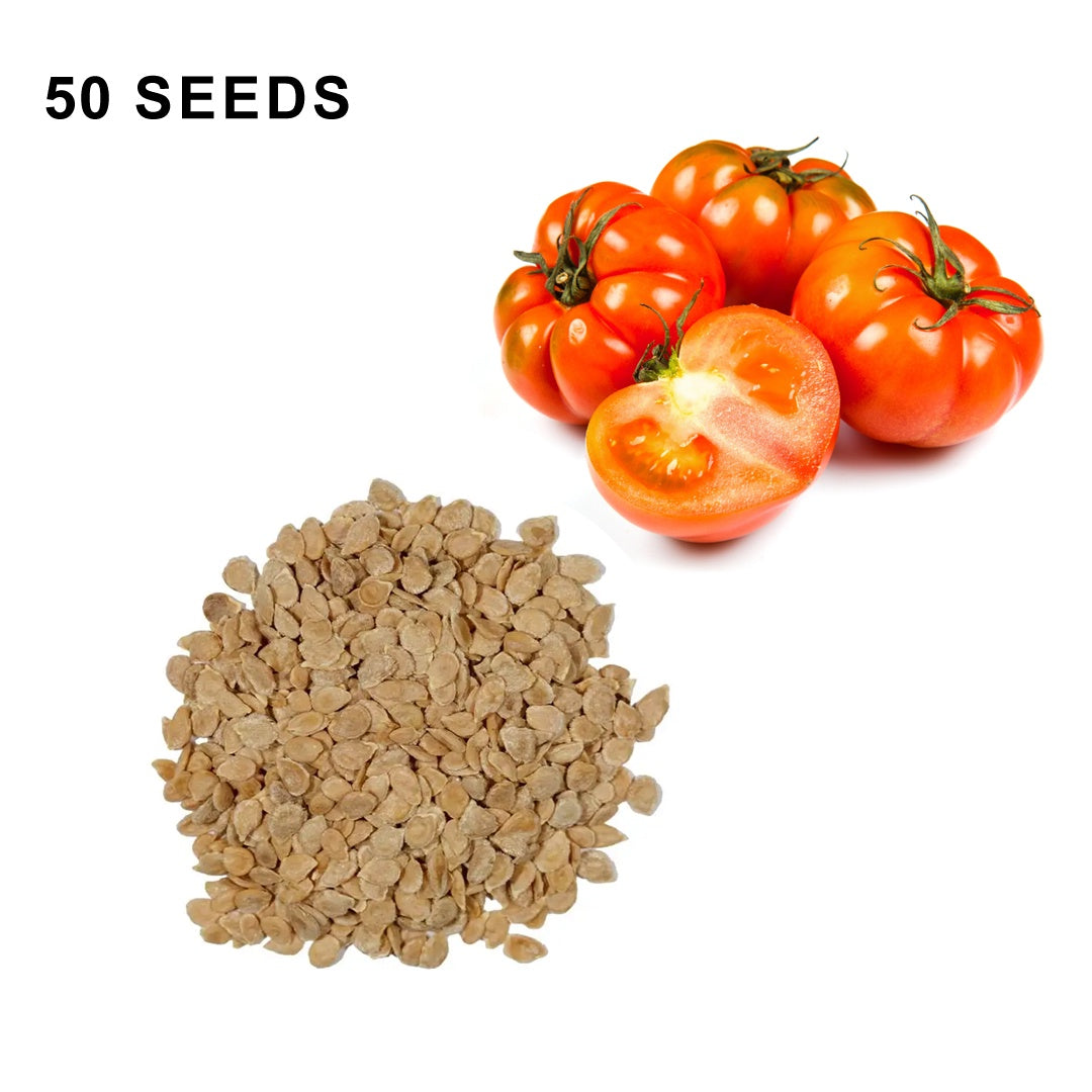 Beefsteak Determinate Tomato Seeds Heirloom Organic High Yield Garden Variety