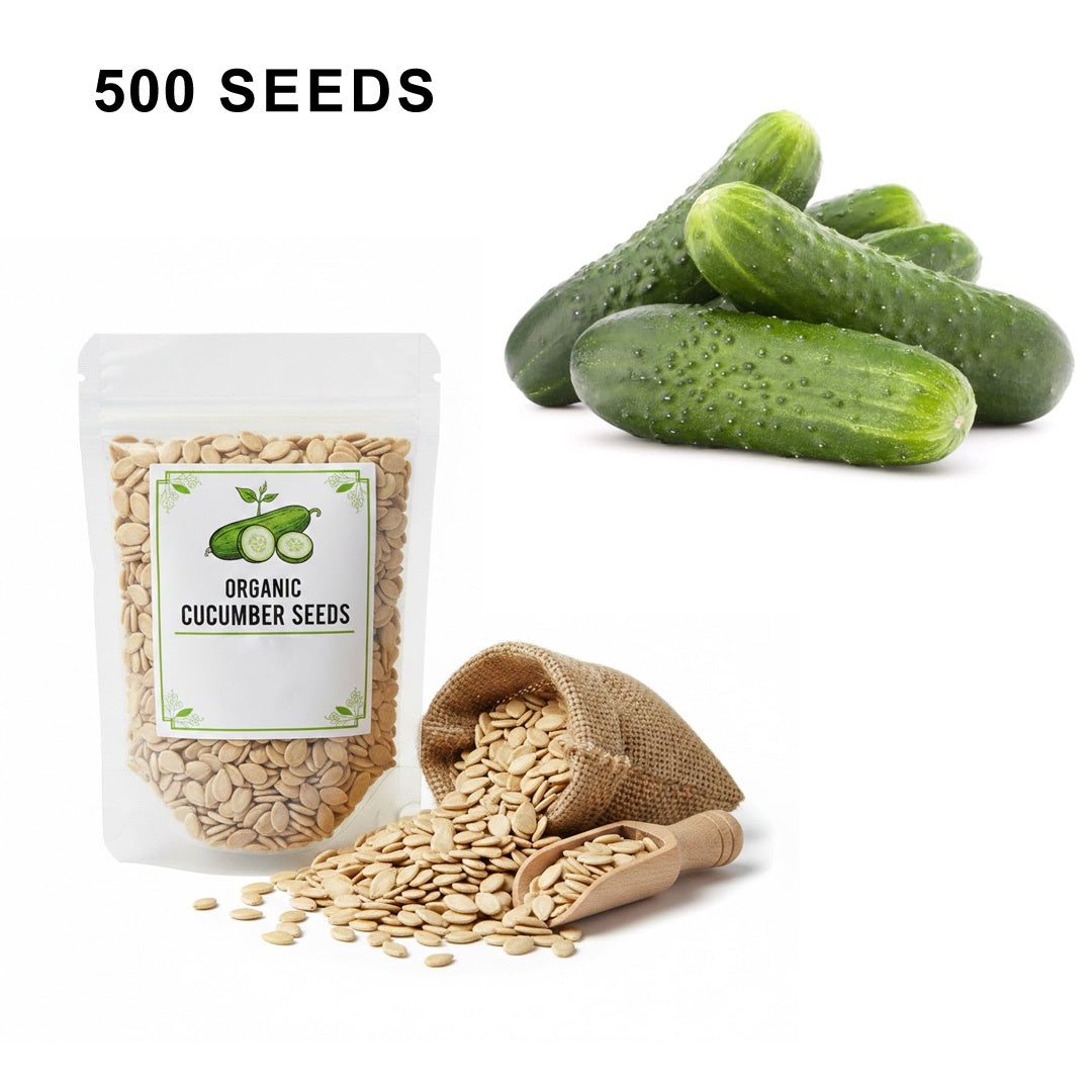 SMR 58 Cucumber Seeds Non GMO Vigorous Standard Pickling Cucumber Country Creek Acres