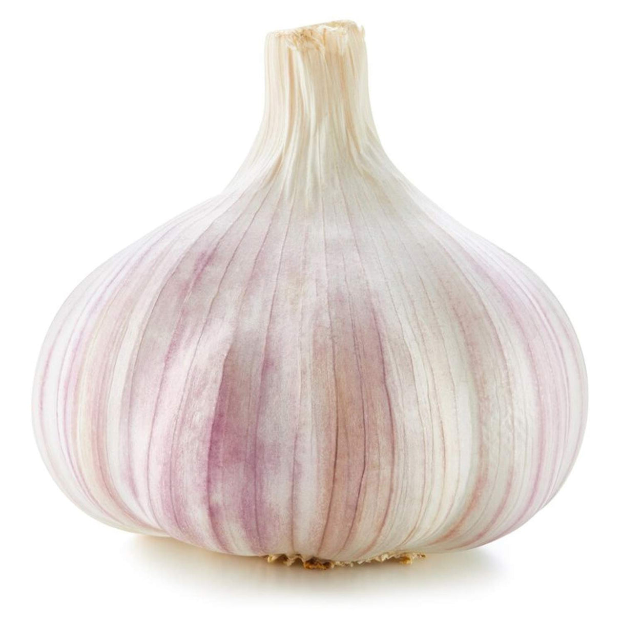 Radyan Fresh Organic Garlic, Sold by the Pound