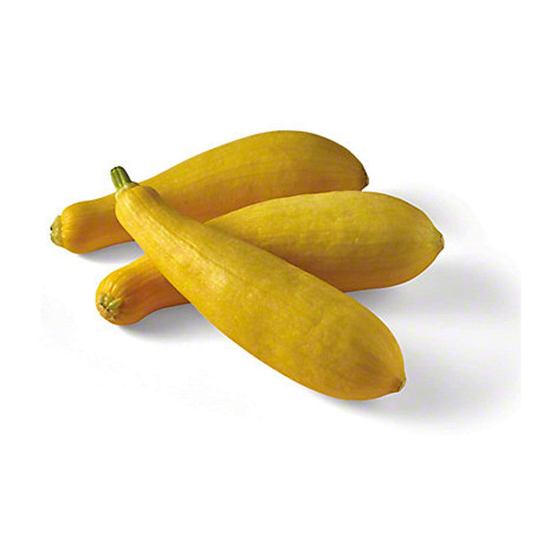 Radyan Fresh Yellow Squash