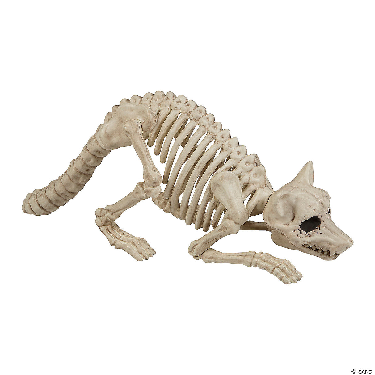 7 3/4" Raccoon Skeleton Plastic Outdoor Halloween Decoration