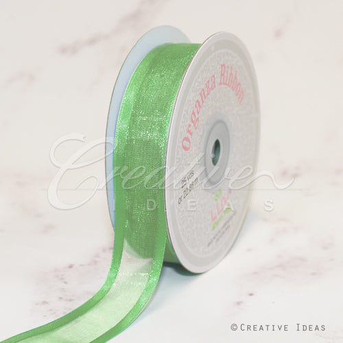 7/8" Organza With Satin Edge Ribbon - 25 Yards (Mint Green)